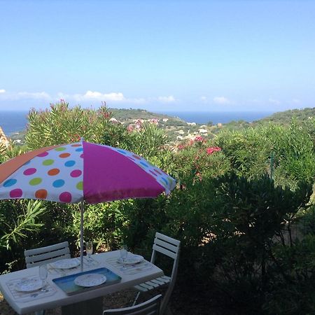 Panoramic Seaview Studio Tiuccia Casaglione Εξωτερικό φωτογραφία